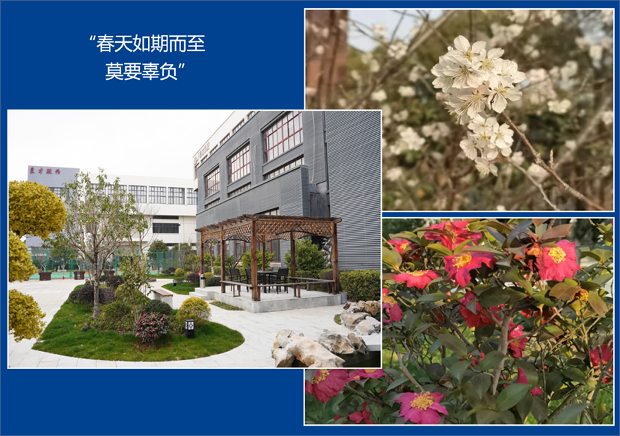 2022年度中集良才春季培训会正式启动啦! 2022年度中集良才春季培训会正式启动啦!